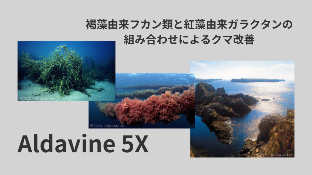 Aldavine 5X（アルダバイン 5エックス） - Tribeaute(トライボーテ)