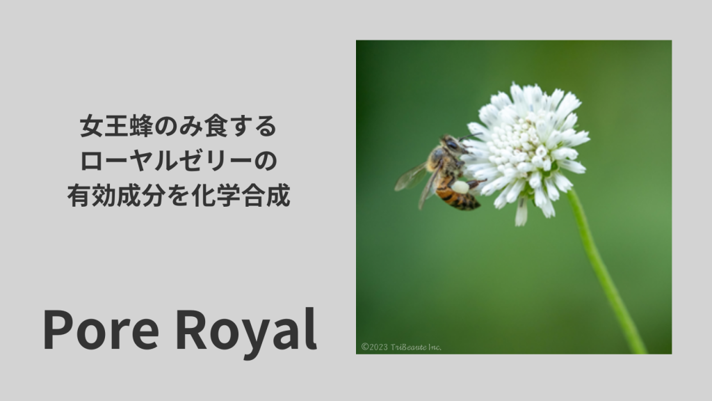 ロイヤル化粧品 Amazon | ロイヤル化粧品 ロイヤルハーブ EXローション 35mL
