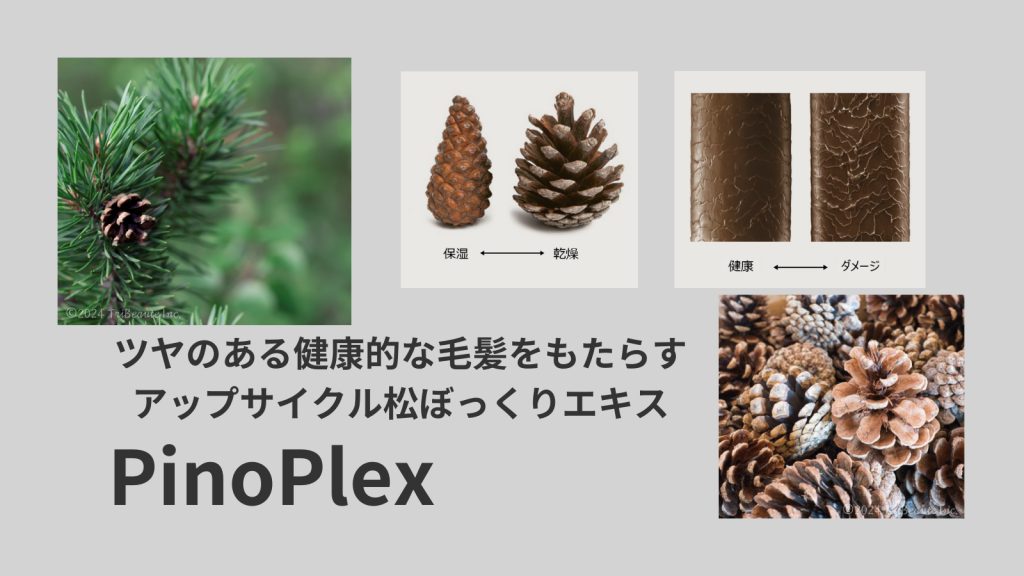 PinoPlex_s00-1024x576.png