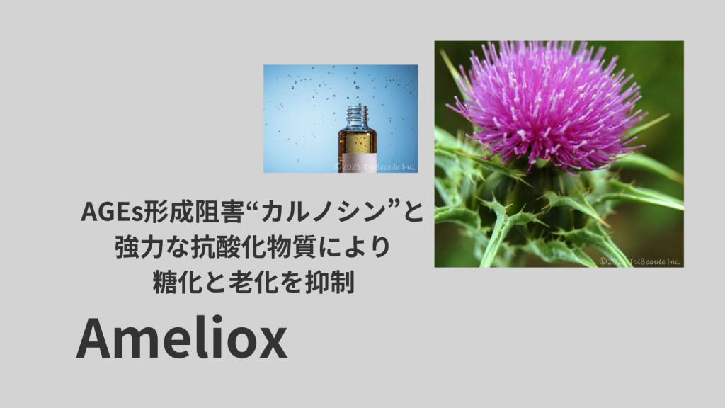 Ameliox_s00-1024x576.png